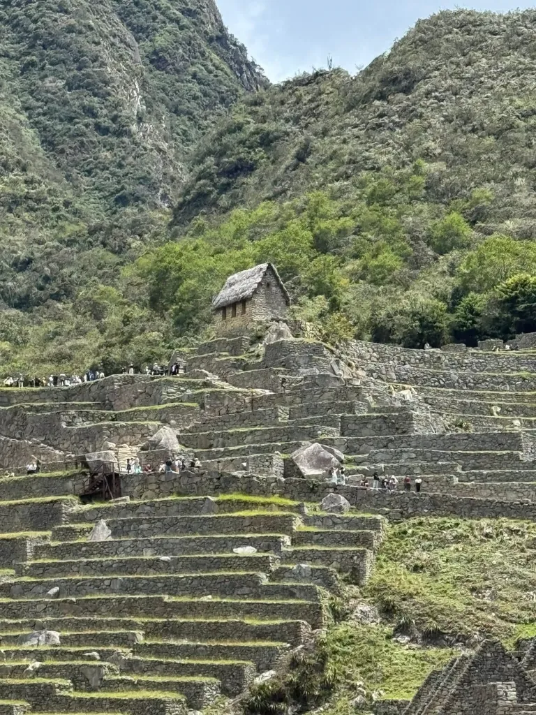 machupicchu18.webp
