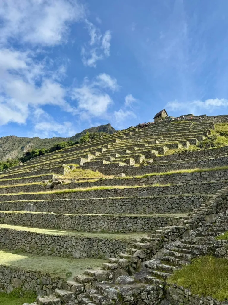 machupicchu12.webp