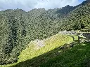 caminoinka5.webp
