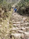 caminoinka2.webp