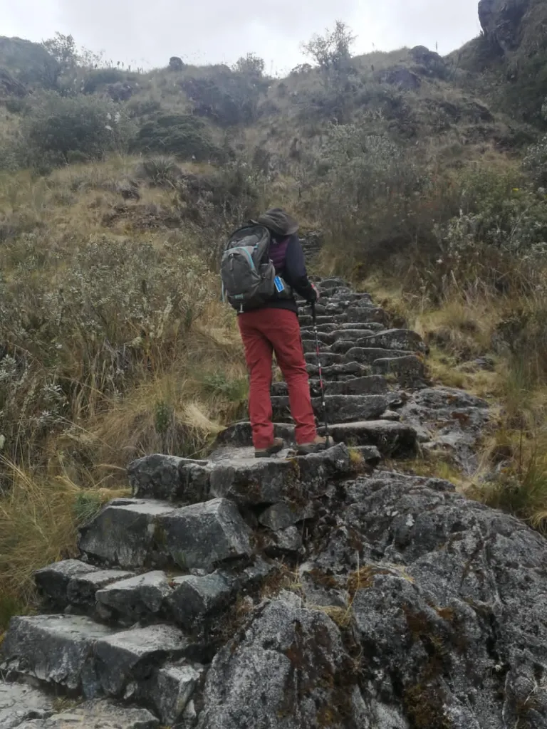 caminoinka14.webp