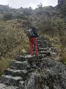 caminoinka14.webp