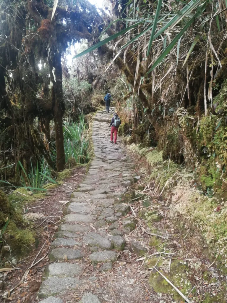 caminoinka13.webp