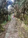 caminoinka13.webp