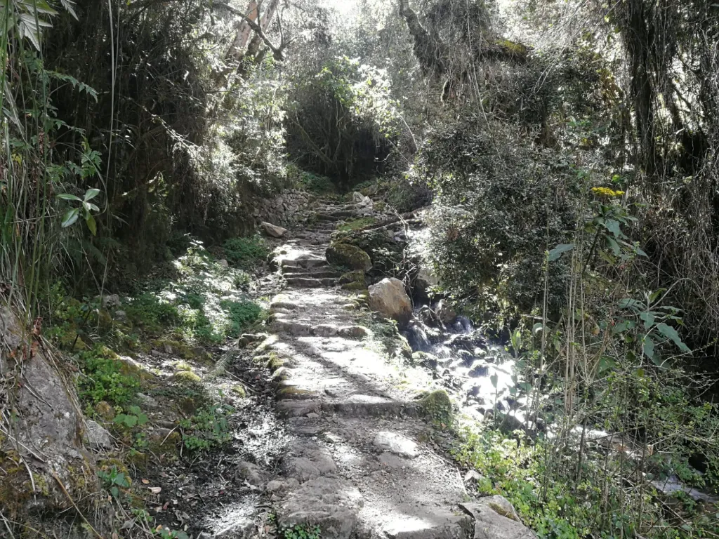 caminoinka11.webp