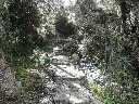 caminoinka11.webp