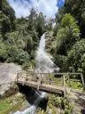 Camino Inka a Machupicchu 2 Días 1 Noche