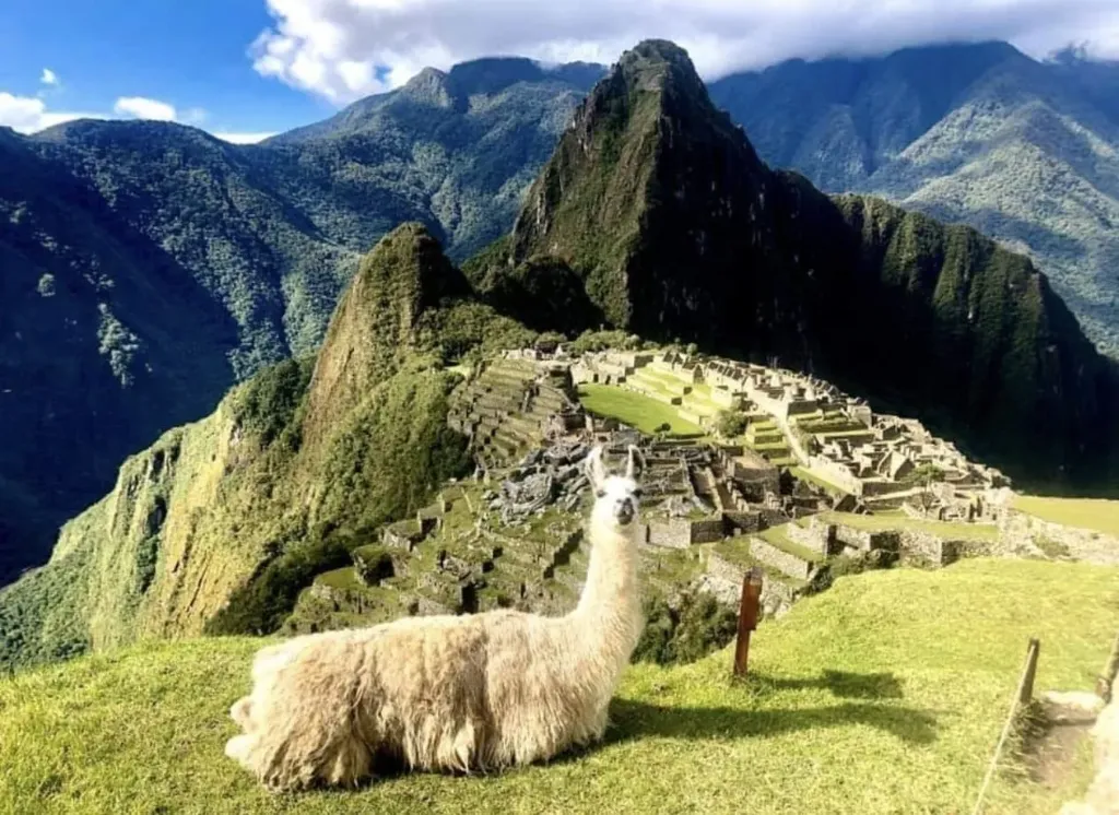 Machu Picchu By Car 2D/1N